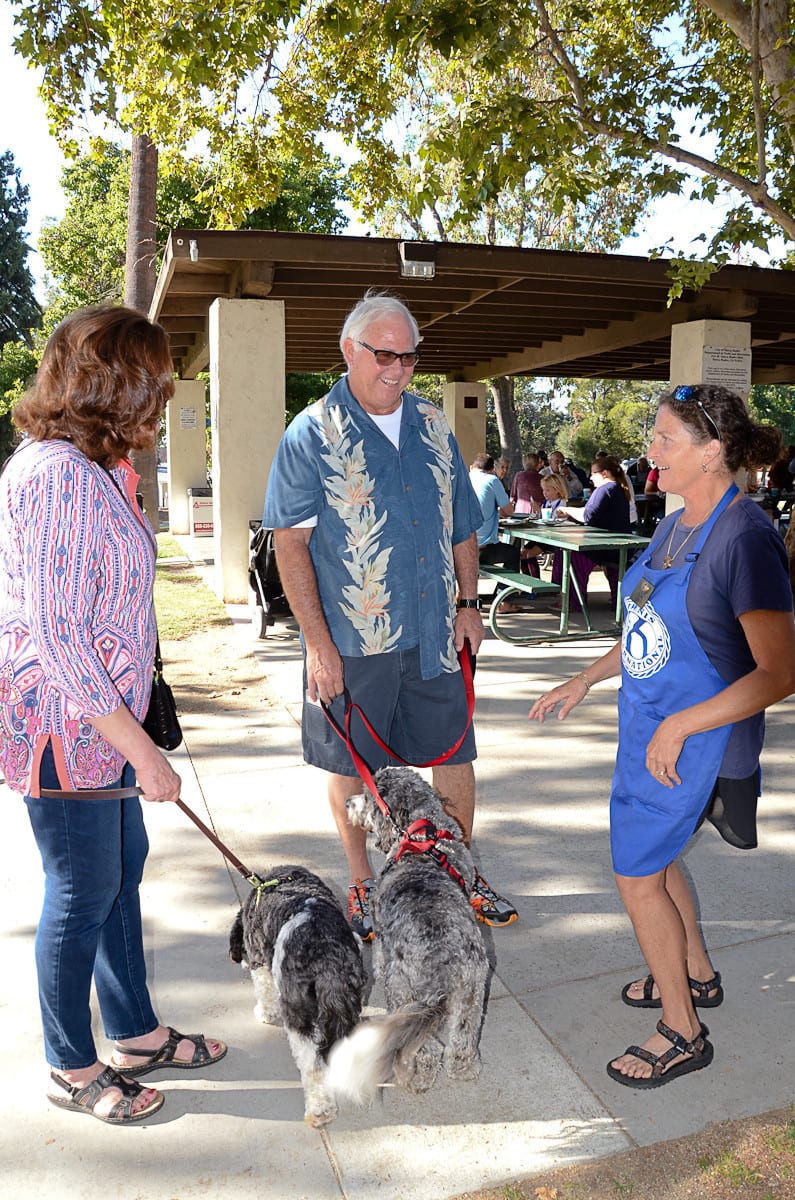 These dogs already adopted a couple prior to this year's event.